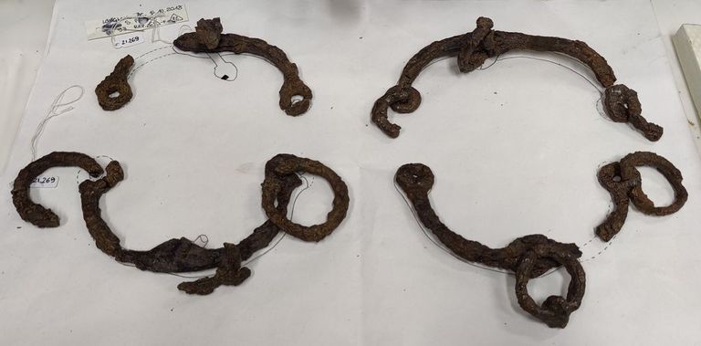 coppia di morsi in ferro, fine VII secolo a.C., dopo il restauro